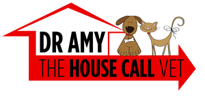 Dr Amy The House Call Vet